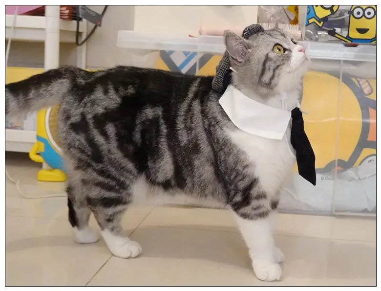 Funny Pet Cat Hat Gentleman's Hat Beret Tie Bathing Blood Gangster Handsome Cosplay Photo Prop Dog Halloween Costume Nova Trendz