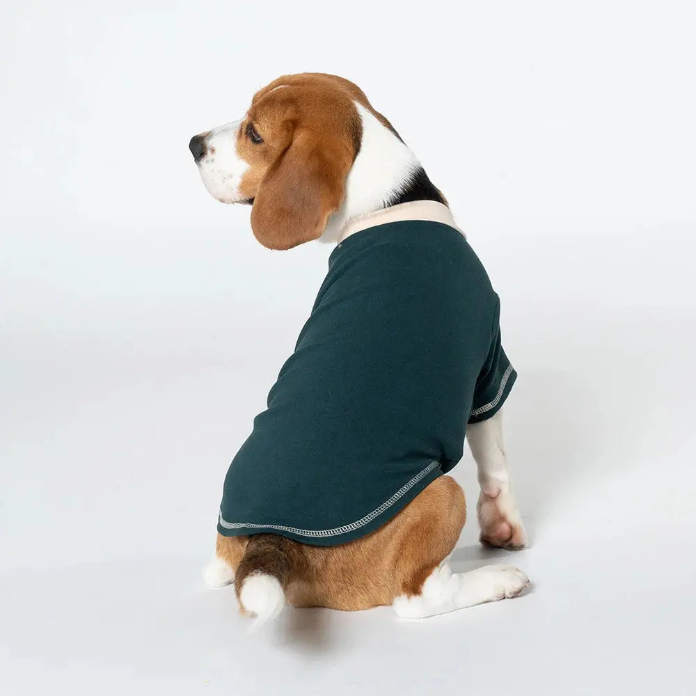 Dog Shirts Summer Puppy Spring Clothes Pet Pullover Sweatshirt Soft Long Sleeve Dog Clothes for Small and Medium Dogs T-shirts Nova Trendz