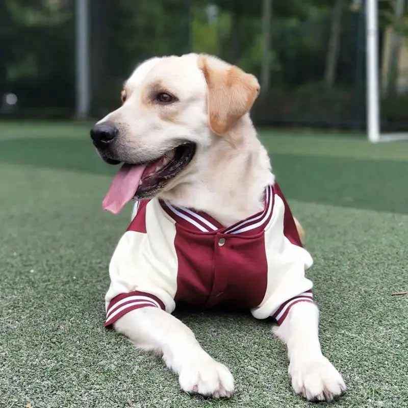 M~7XL Warm Big Dog Baseball Suit Medium Large Dogs Autumn Winter Clothing Golden Retriever Labrador Dog Sweater Thick Style - Nova Trendz