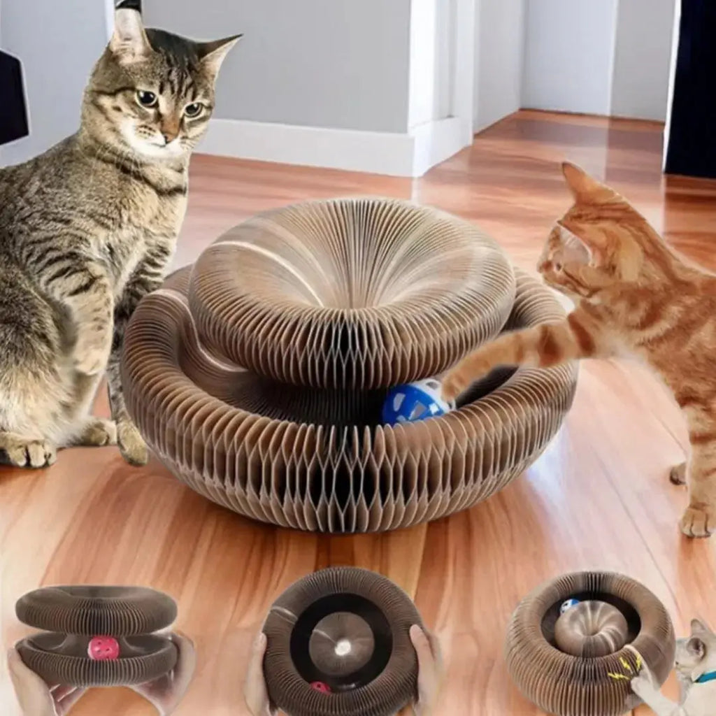 Magic Cat Scratch Organ Board Cat Toy with Ball Cat Grinding Claw Cat Climbing Frame Kitten Round Corrugated Cat Scratching Toy Nova Trendz