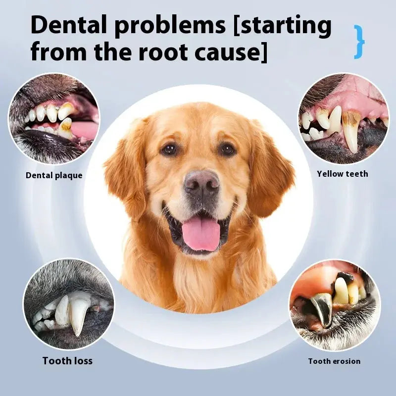 Dog Cat Grooming Smart Dental Ultrasonic Scaler Household Tooth Stone Remover Tooth CleanerTooth Whitening Oral Cleaning Tools - Nova Trendz