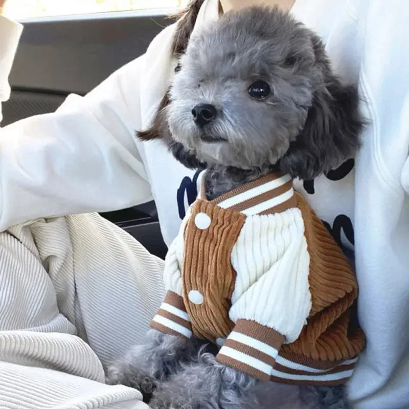 Cute Embroidered Pet Baseball Jackets Dog Clothes For Small Medium Cat Teddy Coat Puppy Spring Clothes Warm Fashion Pet Outfit Nova Trendz