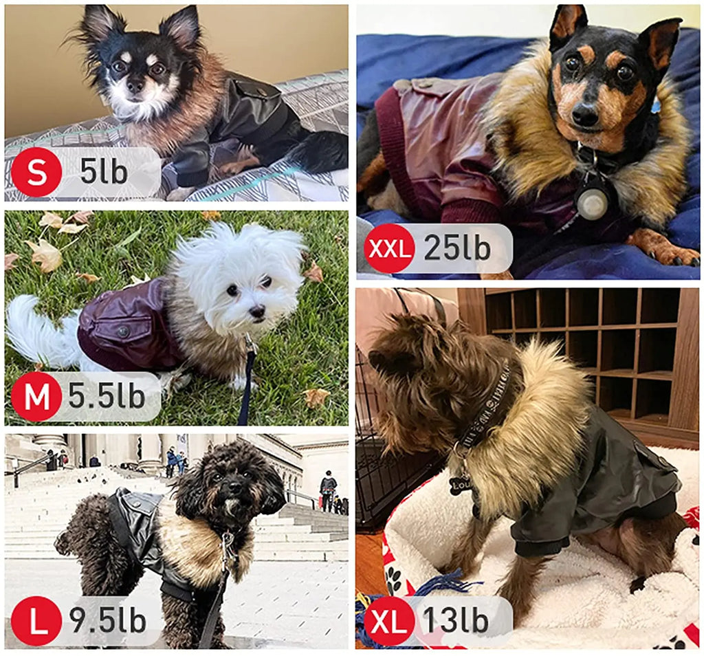 ATUBAN Leather Dog Coats Waterproof Dog Winter Coat Puppy Jackets for Small to Medium Dogs clothes for pets dog clothes winter Nova Trendz