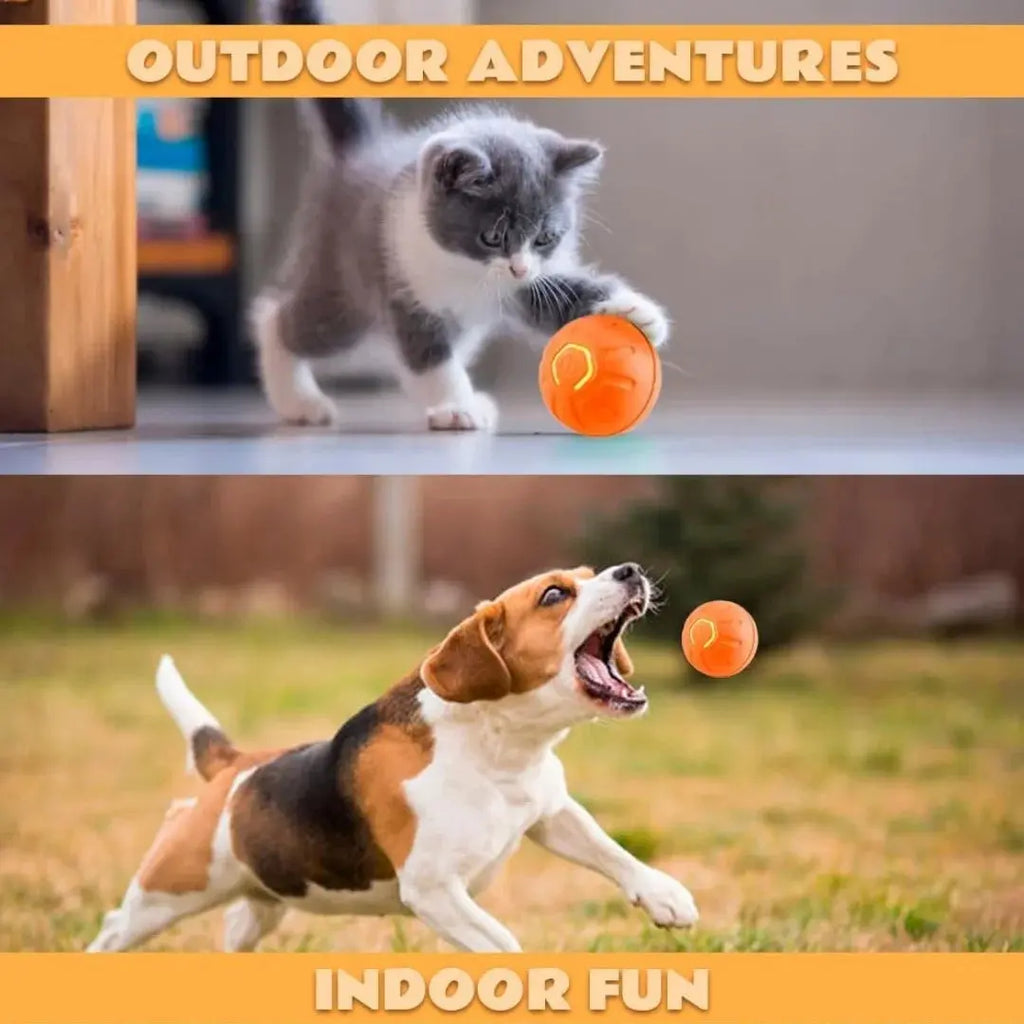 Pet toys Gravity Electric Amusement Pet Ball Smart Bouncing Ball For Dogs and Cats - Nova Trendz