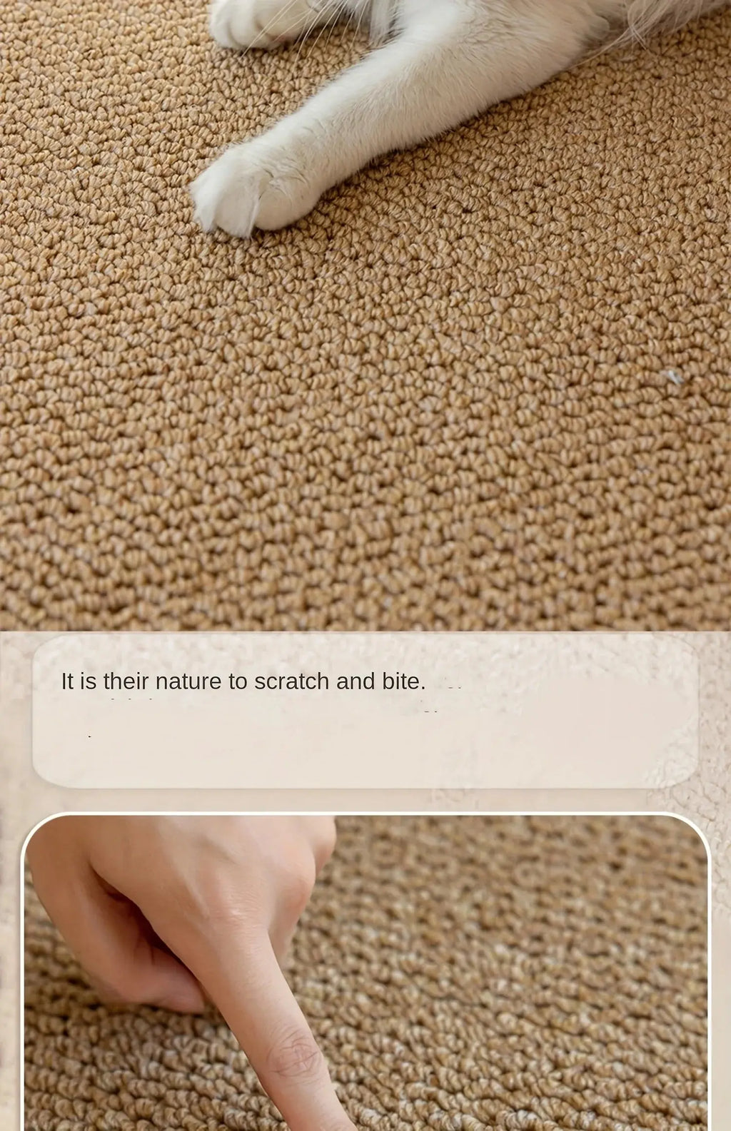 Cat Scratching Pad, Polyester, for Cat Nova Trendz