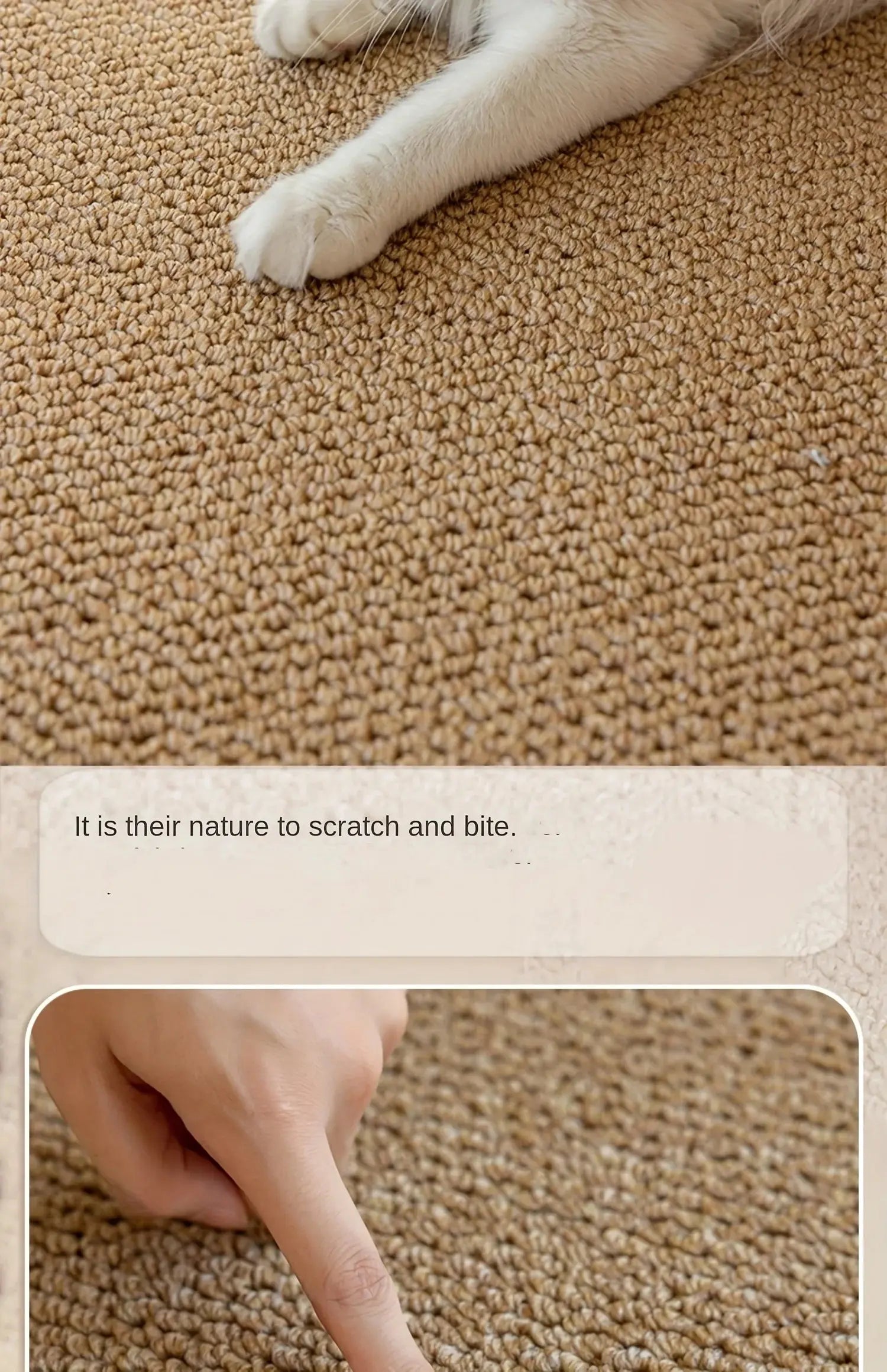 Cat Scratching Pad, Polyester, for Cat Nova Trendz