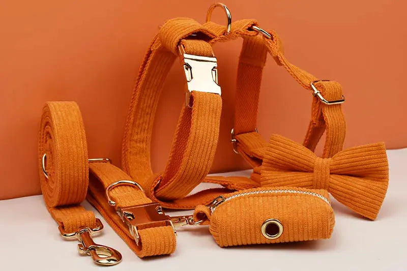 Orange Corduroy Dog Collar And Leash Set For Dogs Custom Engraved Nameplate Pet Supplies Dog Leash Corduroy11 Nova Trendz