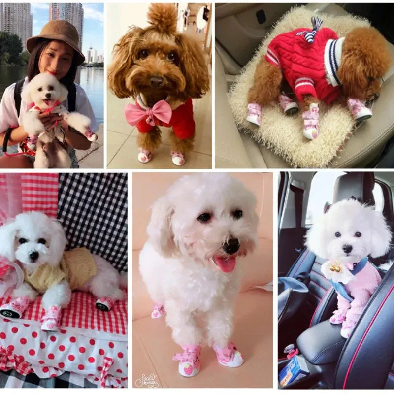 Pet Dog Canvas Shoes for Small Dogs Cute Stawberry Pattern Dog Shoes Anti-Slip Puppy Boots Breathable Cat Sneakers Pet Supplies Nova Trendz