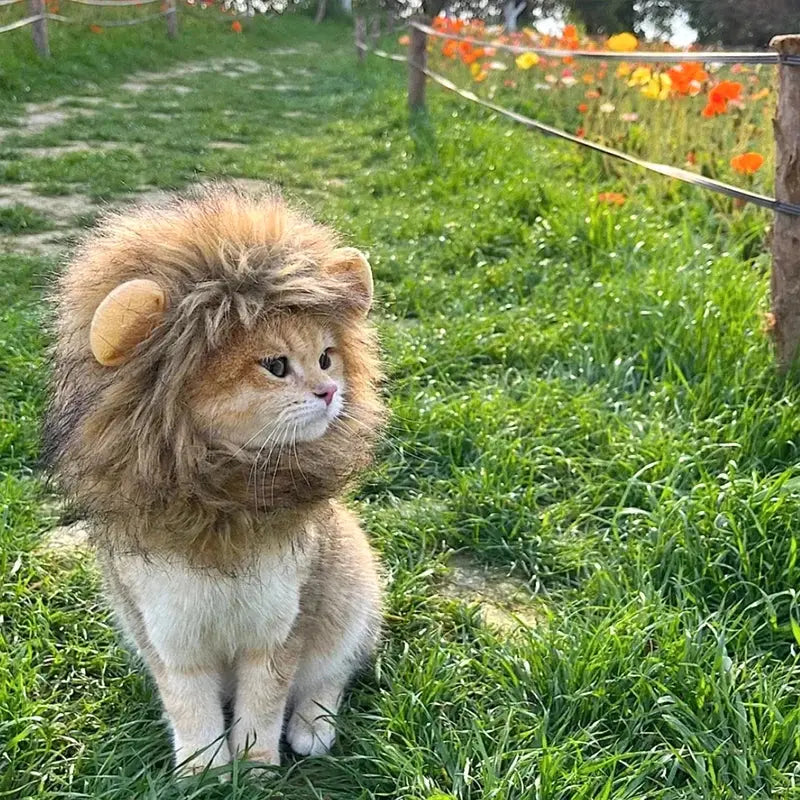 Cat Cosplay Dress Up Pet Hat Lion Mane for Cat Puppy Lion Wig Costume Party Decoration Halloween Christmas GatosPet Supplies Nova Trendz