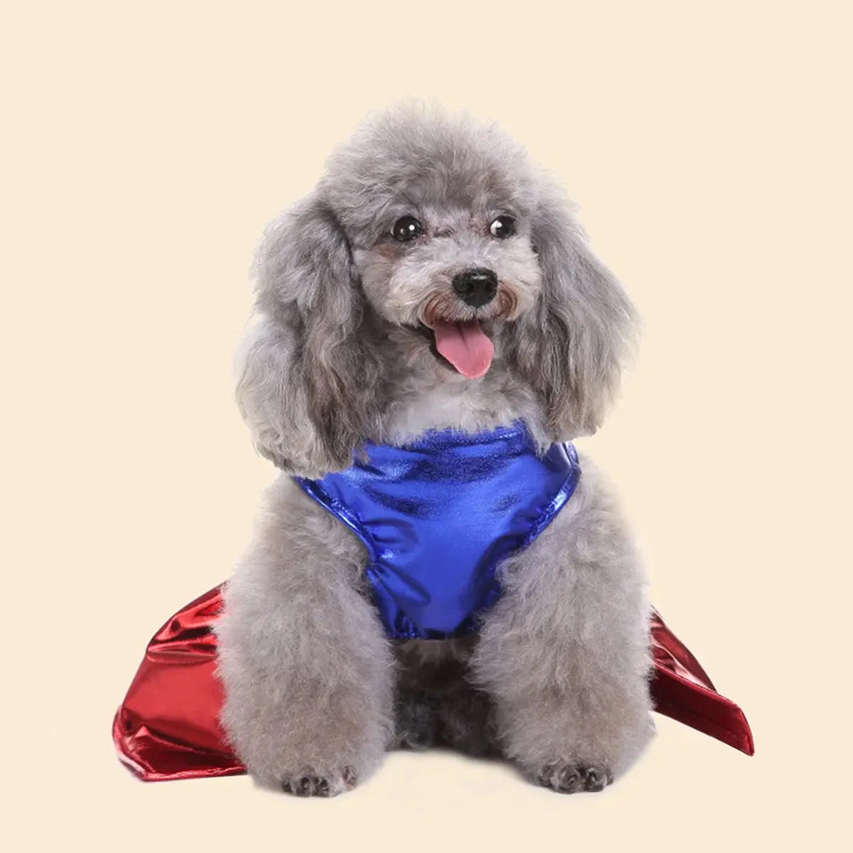 Outfits Halloween Pet Dress-Up Cosplay Clothes for Small Medium Dogs - Nova Trendz