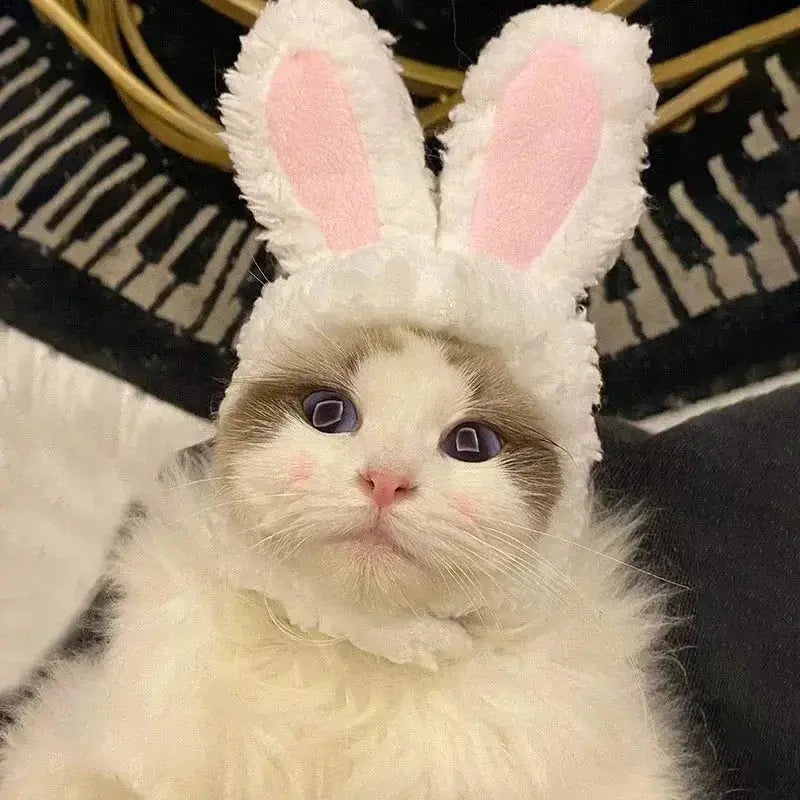 Cat Costume Cute Lion Mane Cat Wig Hat Cosplay Clothes Cap Dress Up Puppy Kitten Halloween Christmas Party Decoration Supplies Nova Trendz