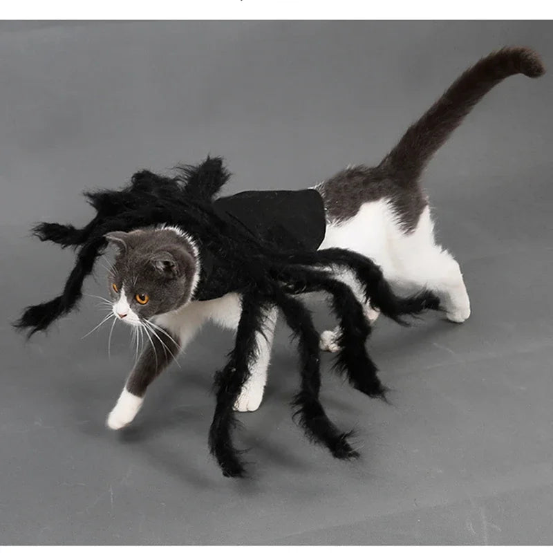 NONOR Halloween Dog Cat Clothes Pet Cosplay Funny Spider Costume Halloween Party Costumes for Small Medium Dog Cat Costumes