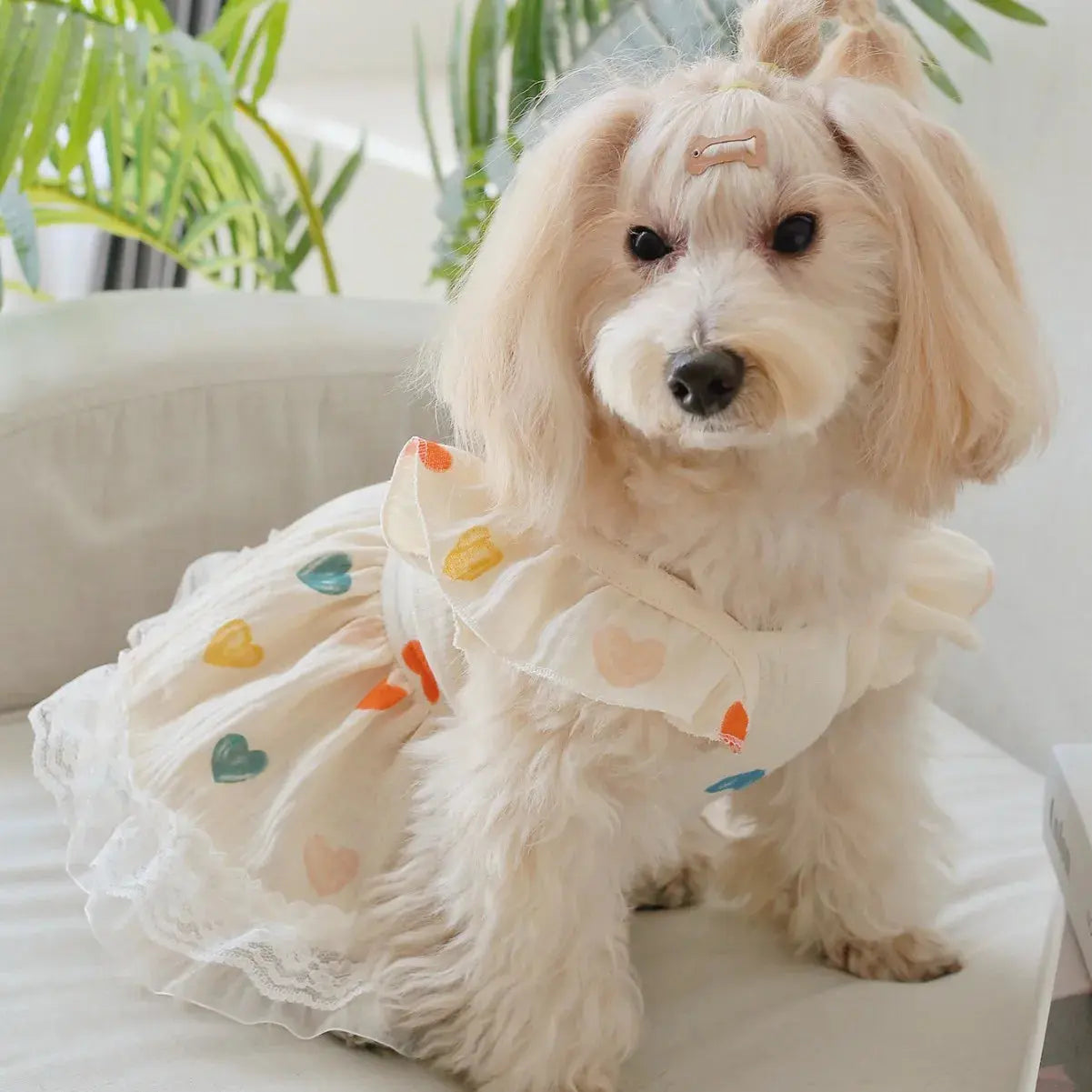 Pet Light Yellow Heart-shaped Little Fly Sleeve Dress Cat and Dog Four Season Vest Puppy Clothes Dog Dresses for Small Dogs - Nova Trendz