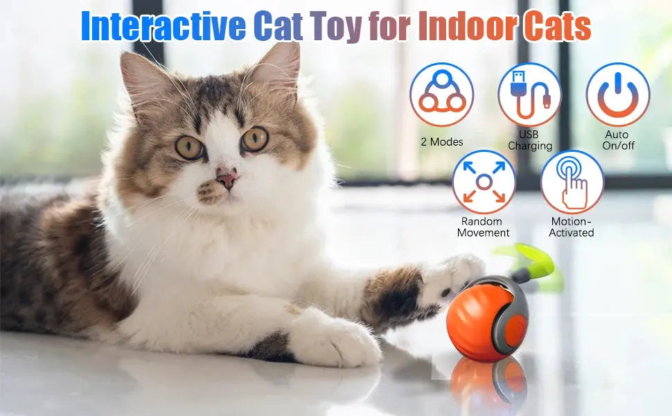 New Interactive Cat Toys Ball Auto Electric Rolling Ball Toys for Cat Kitty Pet Smart Automatic Teaser USB Rechargeable Cat Toy - Nova Trendz