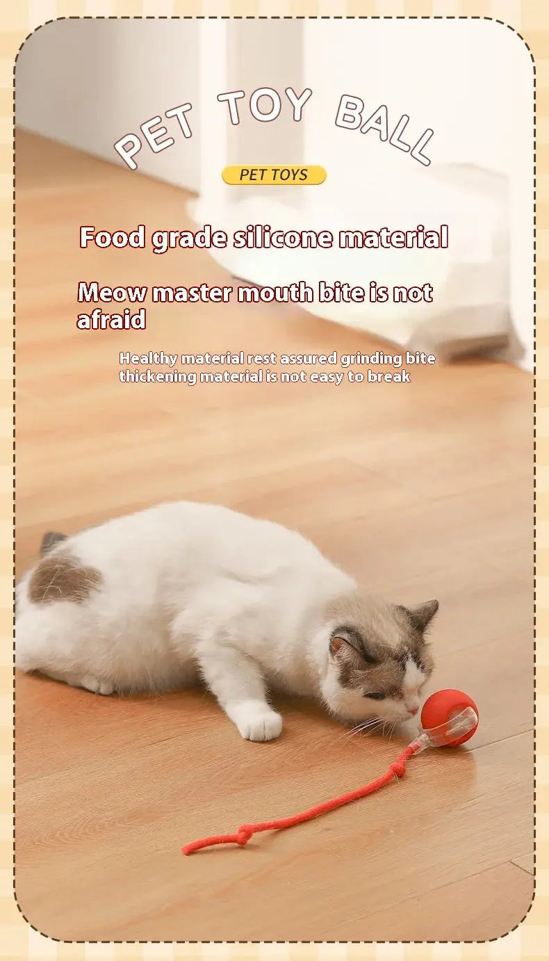 Cat Interactive Ball Toys Automatic Rolling Ball Faux Tail Rechargeable Smart Pet Electric Toy Dog Cat Training Imitate Mouse - Nova Trendz