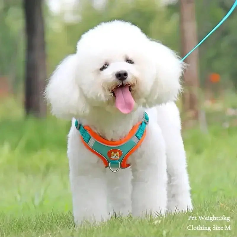 Booteely Pet Suede Chest Harness Vest Dog Cat Strap Reflective Leash Retractable For Small Light And Convenientn - Nova Trendz