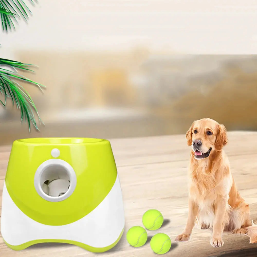 With 5 balls Automatic Ball Launcher for Dogs 3 Adjustable Distances Settings,Improves the dog's intelligence Outdoor pet game - Nova Trendz