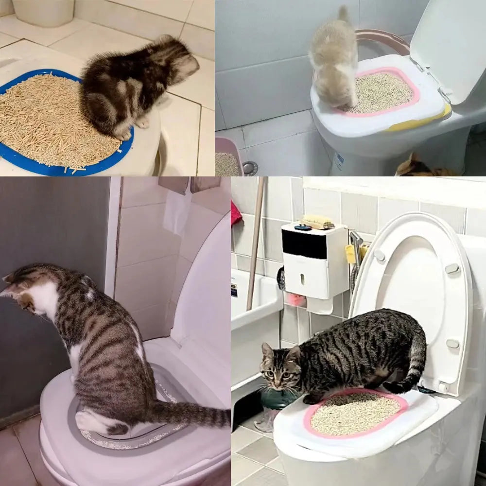 Cat Toilet Trainer Litter Box Cat Toilet Training Reusable Simple Installation Open Cat Raising Artifact - Nova Trendz