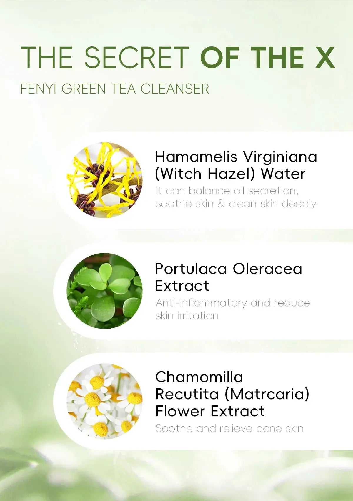 Green Tea Facial Cleanser 50g Skin Deep Cleansing Moisturizing Blackhead Removal Skincare Face Wash Foam Face Cleanser Skin Care - Nova Trendz