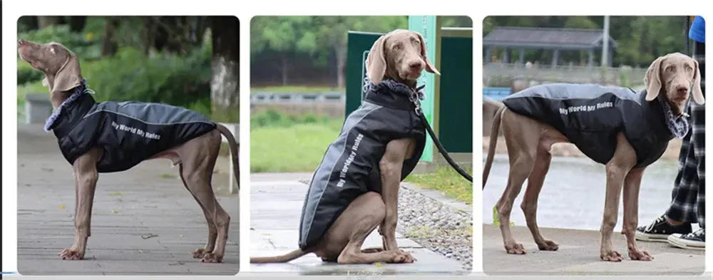 Thickened Big Dog Coat Jacket with Fur Collar Winter Warm Pet Clothes for Medium Large Dogs Greyhound Doberman mascotas Outfits - Nova Trendz