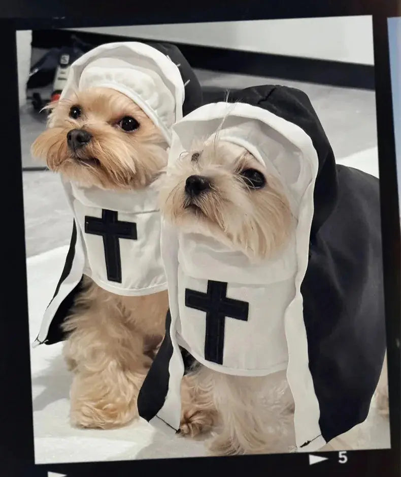 Cat Costumes, Cats and Dogs, Cross-dressing, Funny COS, Small and Medium-sized Pet Photo Props, Cat Funny Costumes - Nova Trendz