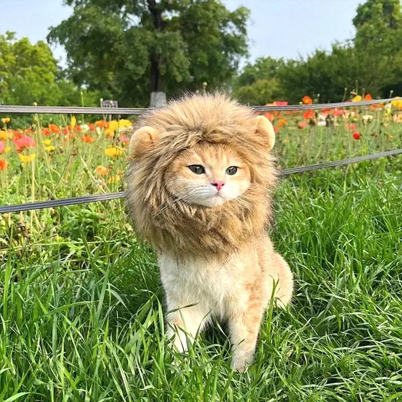 Cat Cosplay Dress Up Pet Hat Lion Mane for Cat Puppy Lion Wig Costume Party Decoration Halloween Christmas GatosPet Supplies Nova Trendz