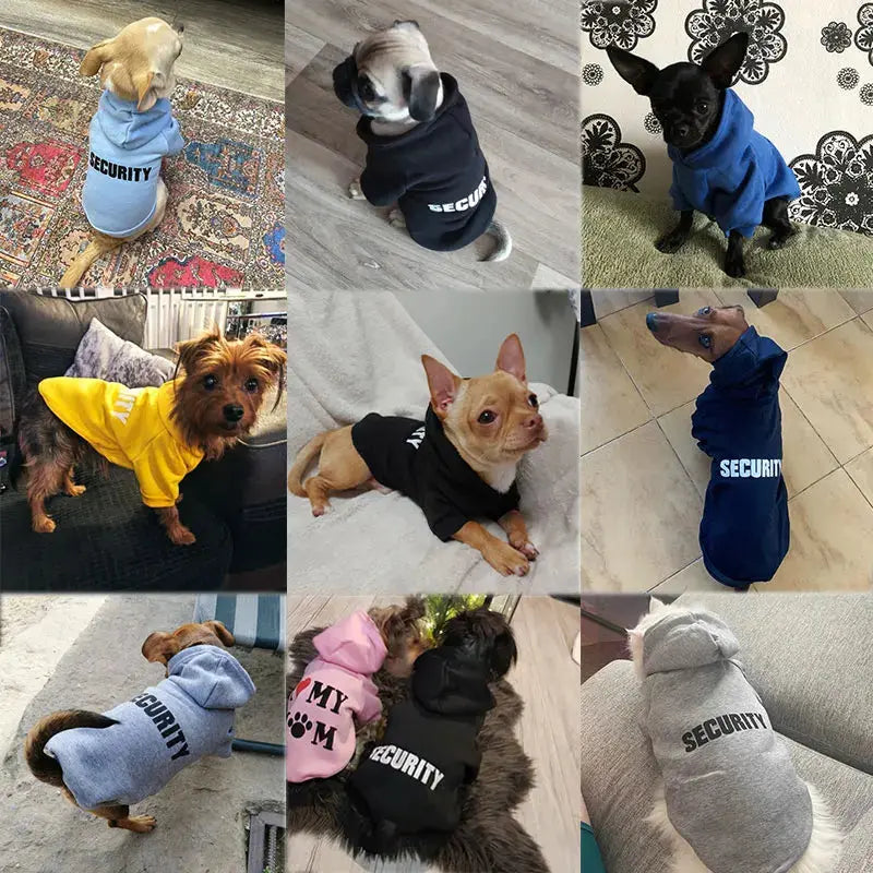 Security Cat Clothes Pet Cat Coats Jacket Hoodies For Cats Outfit Warm Pet Clothing Rabbit Animals Pet Costume For Small Dogs Nova Trendz