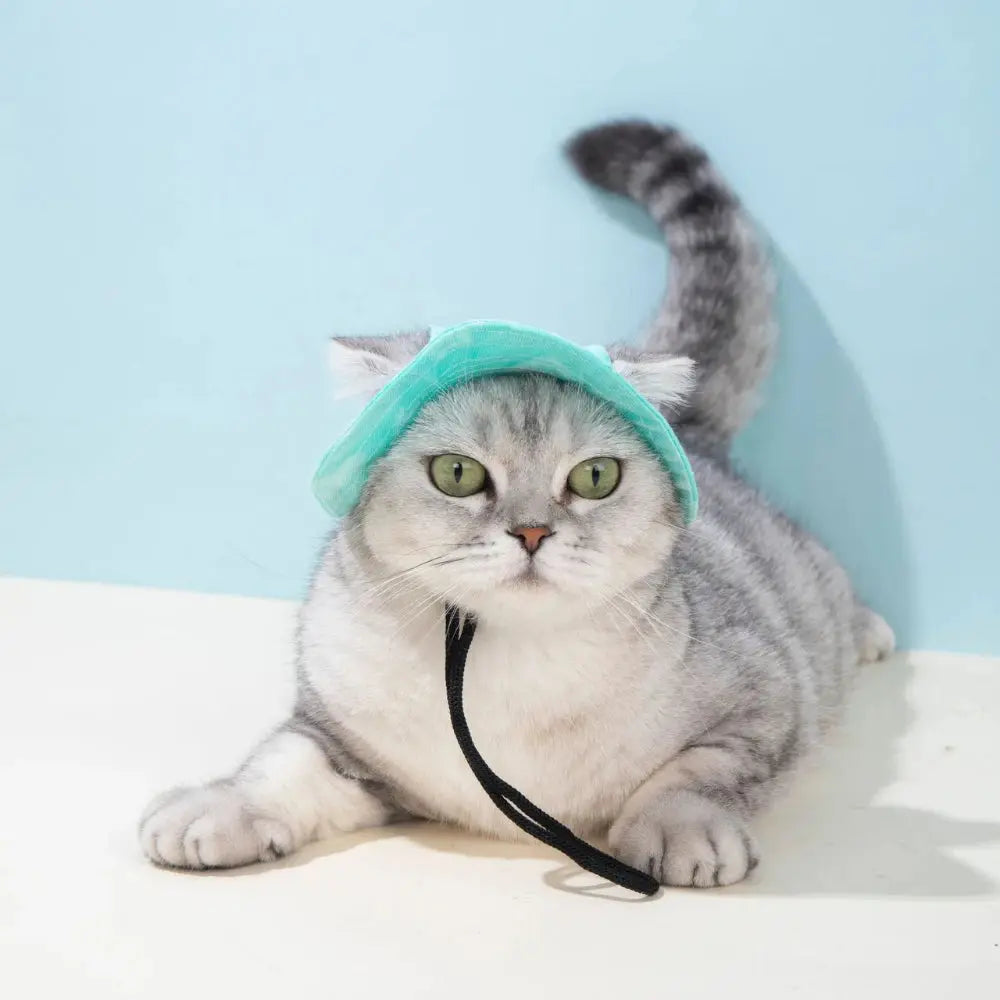 Pet Hat with Ear Holes Summer Outdoor Cute Dog Cat Hat Colorful Adjustable Baseball Cap for Small Medium Dogs Cats Pet Supplies Nova Trendz