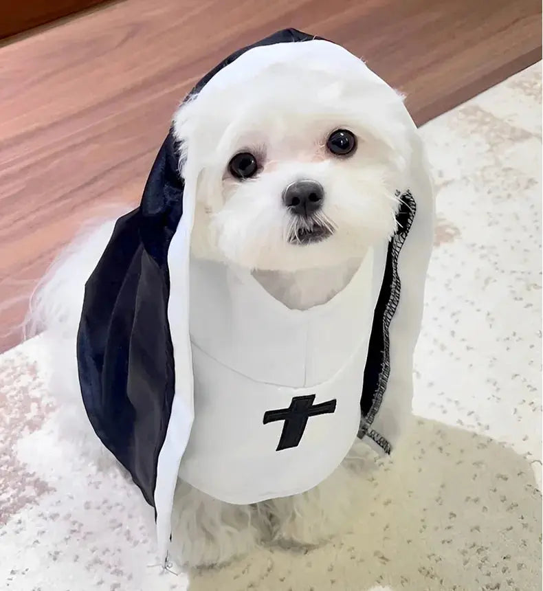 Cat Costumes, Cats and Dogs, Cross-dressing, Funny COS, Small and Medium-sized Pet Photo Props, Cat Funny Costumes - Nova Trendz