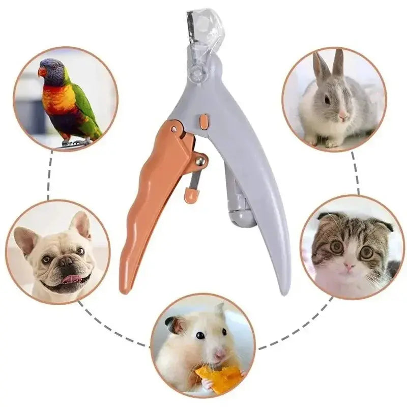 Pet Nail Clipper with LED Light Dog Cat Special Nail Clipper Multifunction Nail Trimmer Pet Cleaning Grooming Supplies Dog bib Nova Trendz