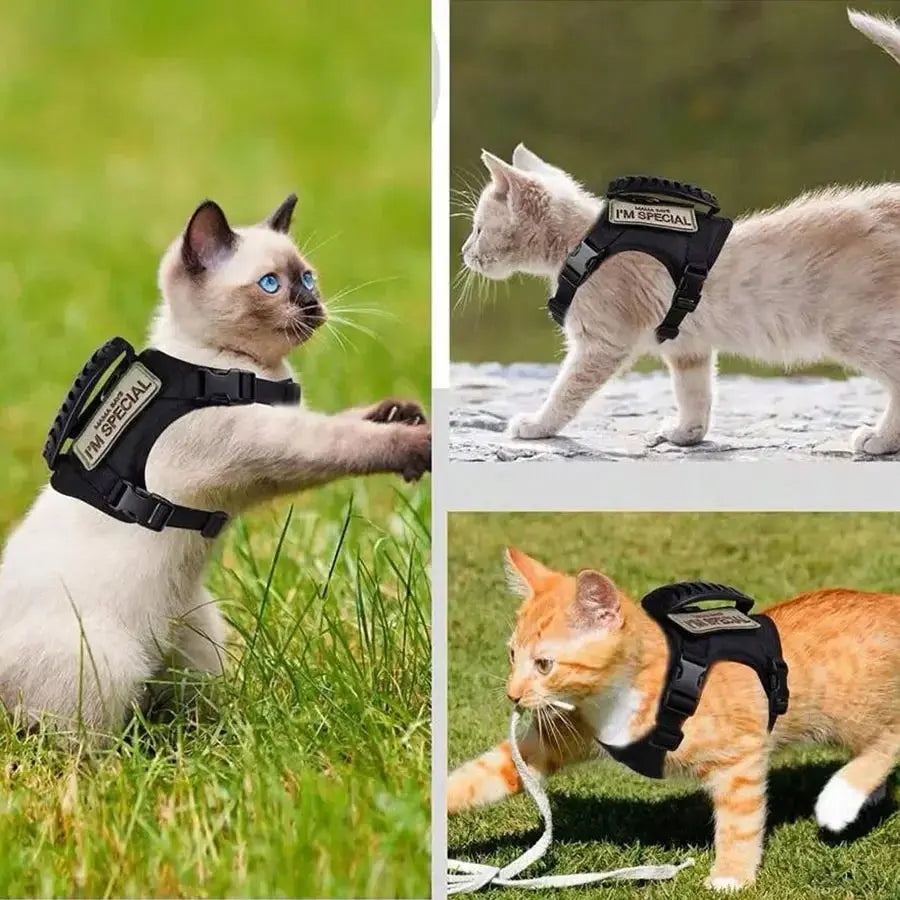 Outdoor Cat Vest Waterproof Cat Clothes Cat Chest Strap Special Vest for Walking Cats Can Be Adjusted Nova Trendz
