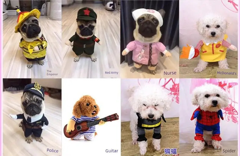 Cat Clothes Dog Clothes Teddy British Shorthair Pet Costume Funny Selling Cute Upright Pet Costume Spring and Summer Clothes Hot Nova Trendz