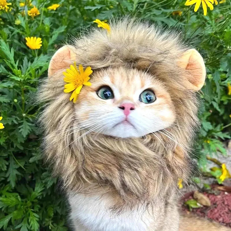 Cat Cosplay Dress Up Pet Hat Lion Mane for Cat Puppy Lion Wig Costume Party Decoration Halloween Christmas GatosPet Supplies Nova Trendz