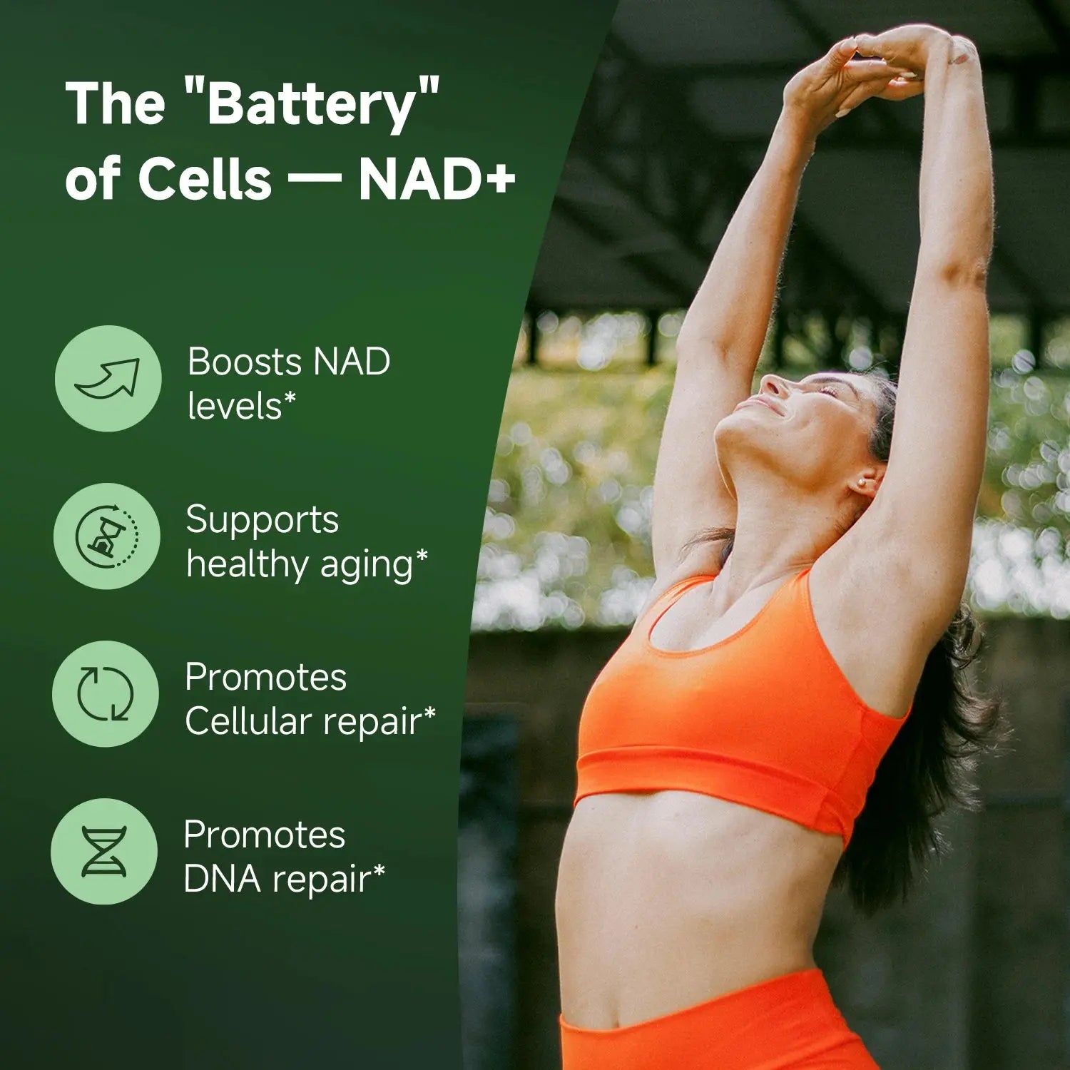 NR900 Supplement - Liposomal Nicotinamide Riboside, Resveratrol, Quercetin by Quitmood- High Purity NAD Supplement for Ski Nova Trendz