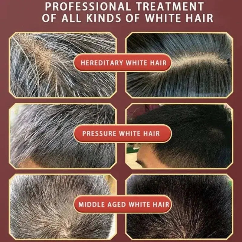Pure Natural Herbal Hair Dye Shampoo Change Hair Color Cover Gray Hair White Hair Treatment Bubble Plant Hair Dye Hair Care Nova Trendz