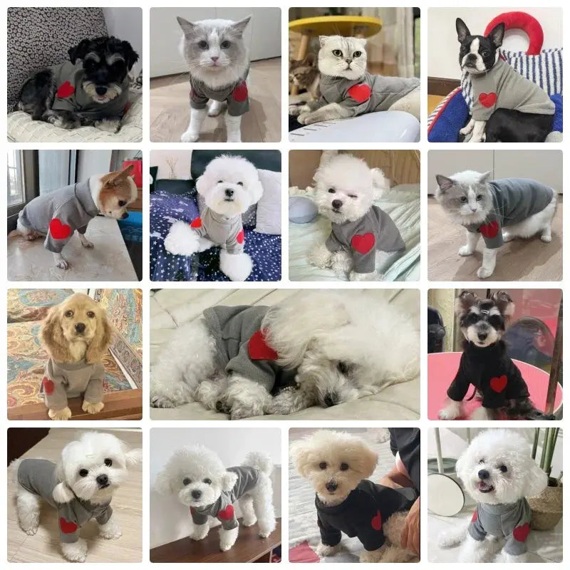 Fashion Dog Hoodies Autumn Dog Clothes for Small Dogs Cute Solid Puppy Sweater Soft Cat Hoodies Pet Sweatshirt Chihuahua Clothes Nova Trendz