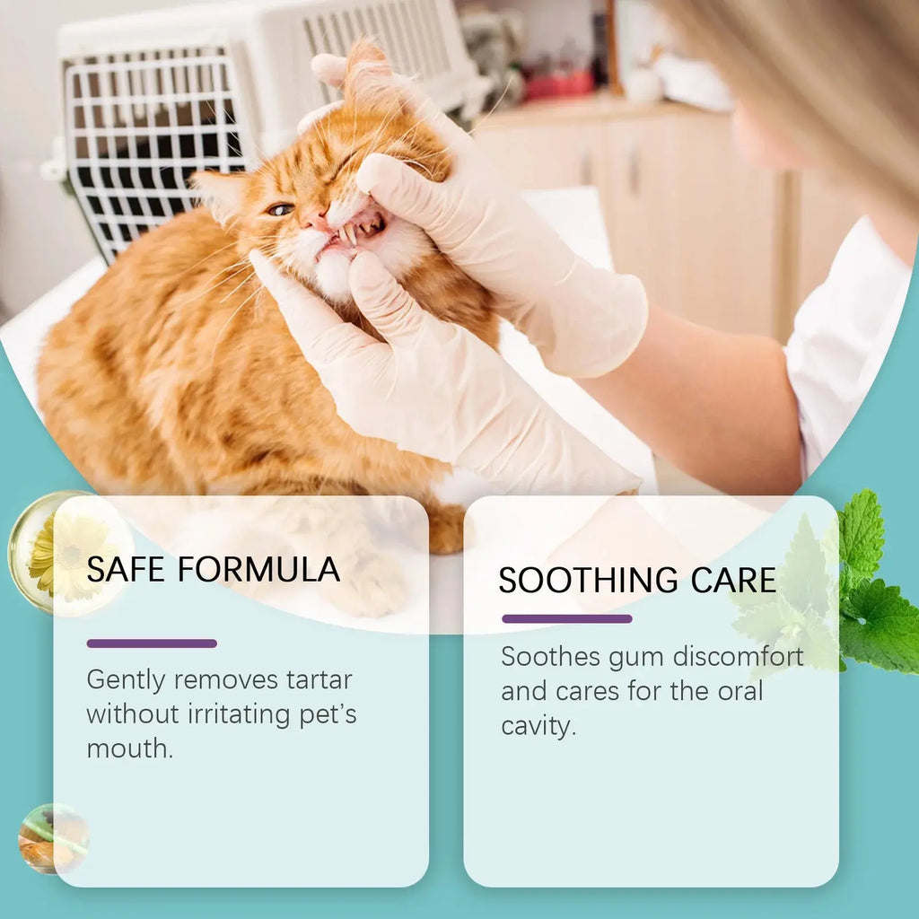 Disposable Pet Teeth Finger Cots Super Soft Tartar Removal Puppy Cat Dog Oral Care Toothbrush Cochlear Cleaning Finger Cover - Nova Trendz