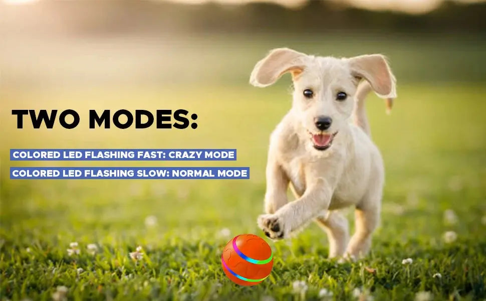 Interactive Dog Toy Ball with Remote Control, Active Rolling Ball for Dogs,Wicked Ball for Small Medium Large Dogs  pet toys Nova Trendz