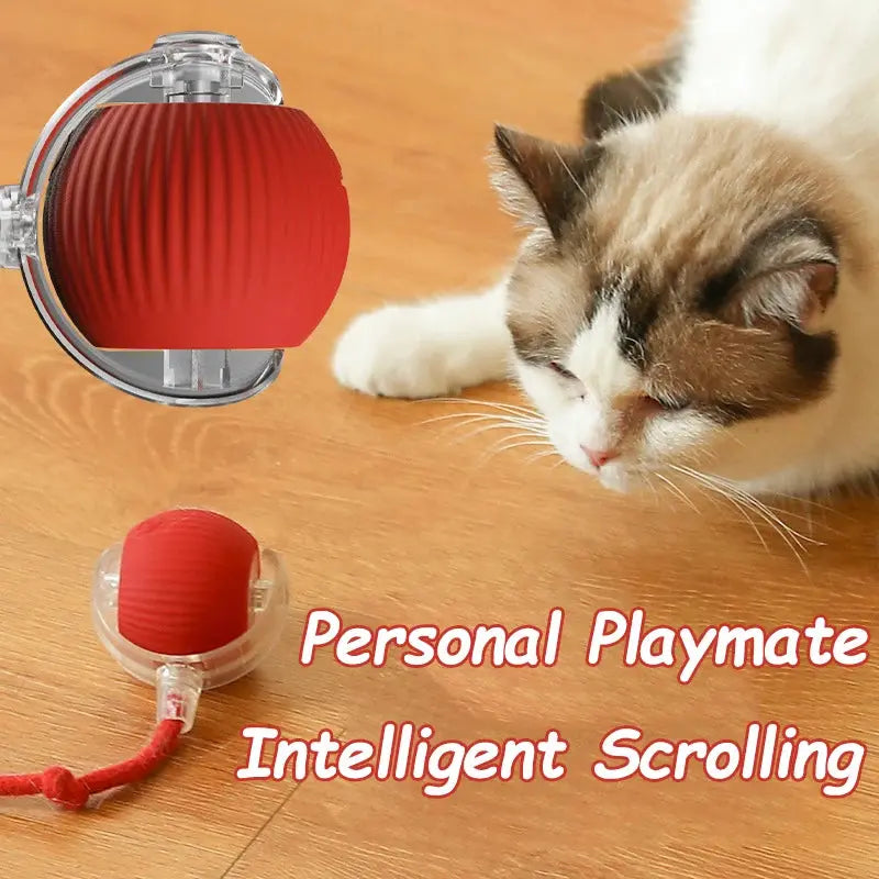 Cat Interactive Ball Toys Automatic Rolling Ball Faux Tail Rechargeable Smart Pet Electric Toy Dog Cat Training Imitate Mouse - Nova Trendz