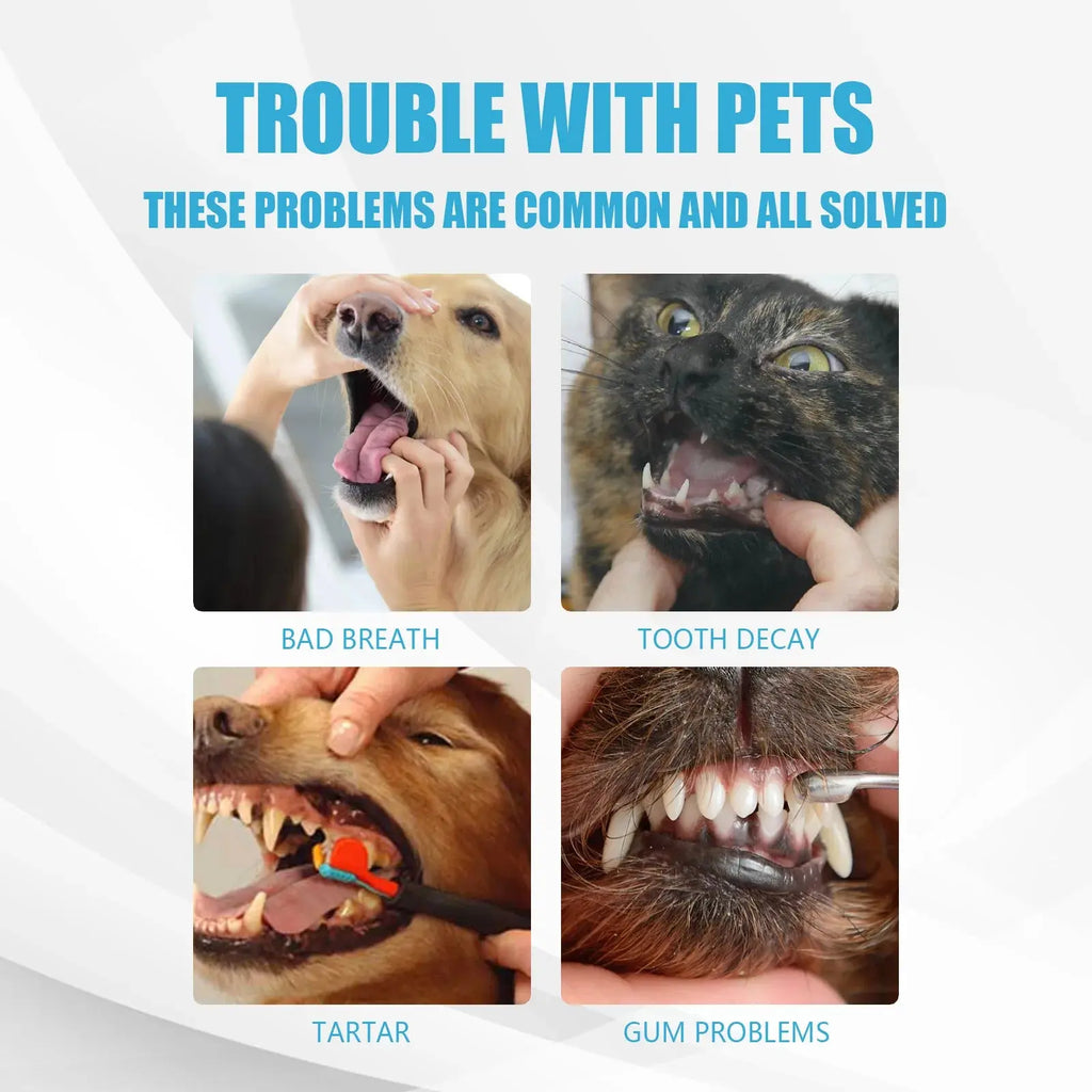 Pet Oral Care Toothpaste–Cleans Tartar&Plaque for Dogs,Freshens Breath&Deodorizes Mouth,Prevents Tartar,Edible for Cats&Dogs Nova Trendz