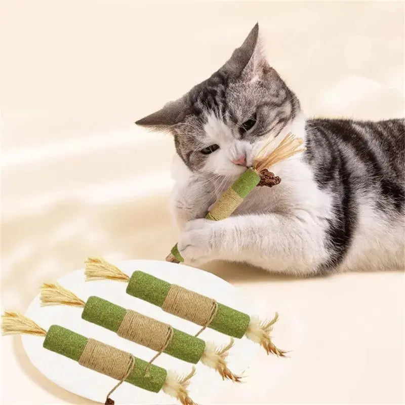 Cats Catmint Stick Cats Teether Licking Stick Cats Teaser Stick Toy Chewing Matatabi Cats Hairballs Removal Treat Stick Nova Trendz