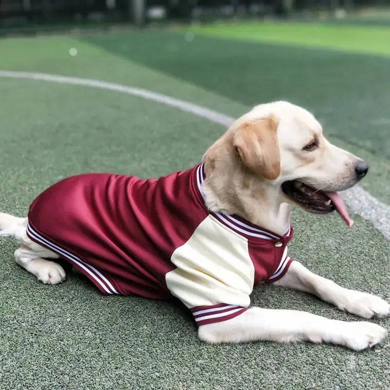 M~7XL Warm Big Dog Baseball Suit Medium Large Dogs Autumn Winter Clothing Golden Retriever Labrador Dog Sweater Thick Style - Nova Trendz
