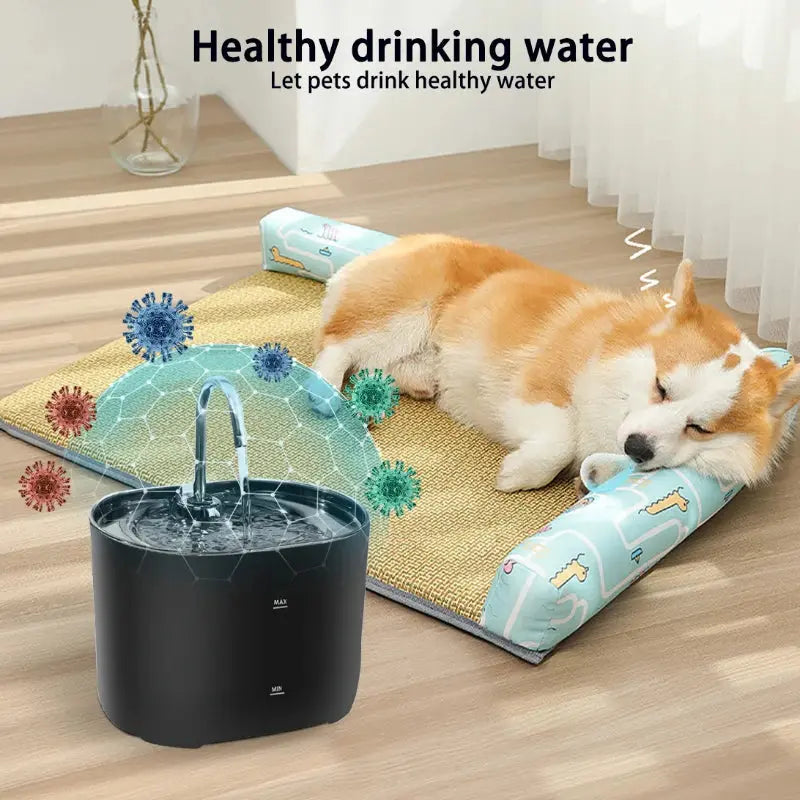 Cats Water Fountain Automatic Filter Cats Fountain With Stainless Steel Faucet Silent Water Pump Pet Cats Dog Water Dispenser - Nova Trendz