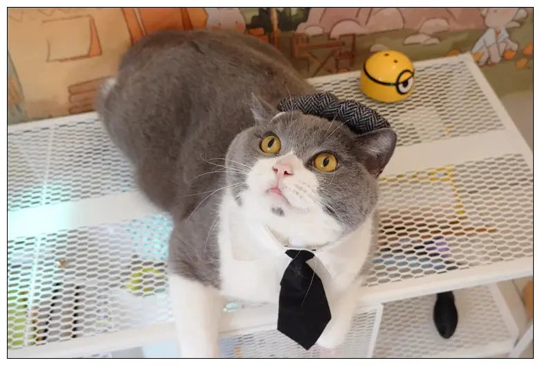 Funny Pet Cat Hat Gentleman's Hat Beret Tie Bathing Blood Gangster Handsome Cosplay Photo Prop Dog Halloween Costume Nova Trendz