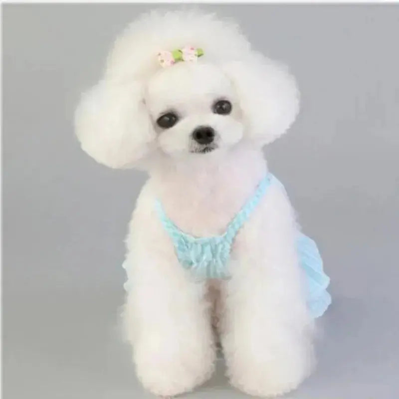 Pink Blue Dog Skirt Plaid Pet Bulldog Dress Spring Summer Party Skirt Teddy French Cat Dress - Nova Trendz