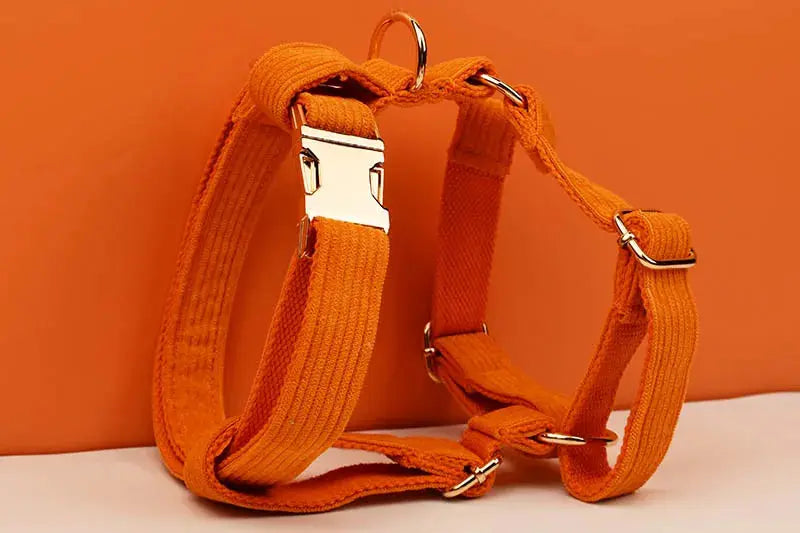 Orange Corduroy Dog Collar And Leash Set For Dogs Custom Engraved Nameplate Pet Supplies Dog Leash Corduroy11 Nova Trendz