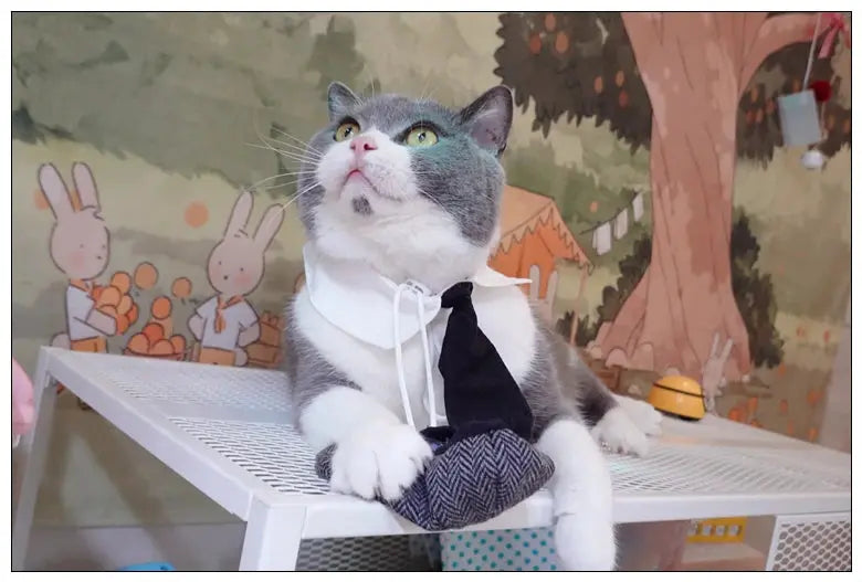 Funny Pet Cat Hat Gentleman's Hat Beret Tie Bathing Blood Gangster Handsome Cosplay Photo Prop Dog Halloween Costume Nova Trendz