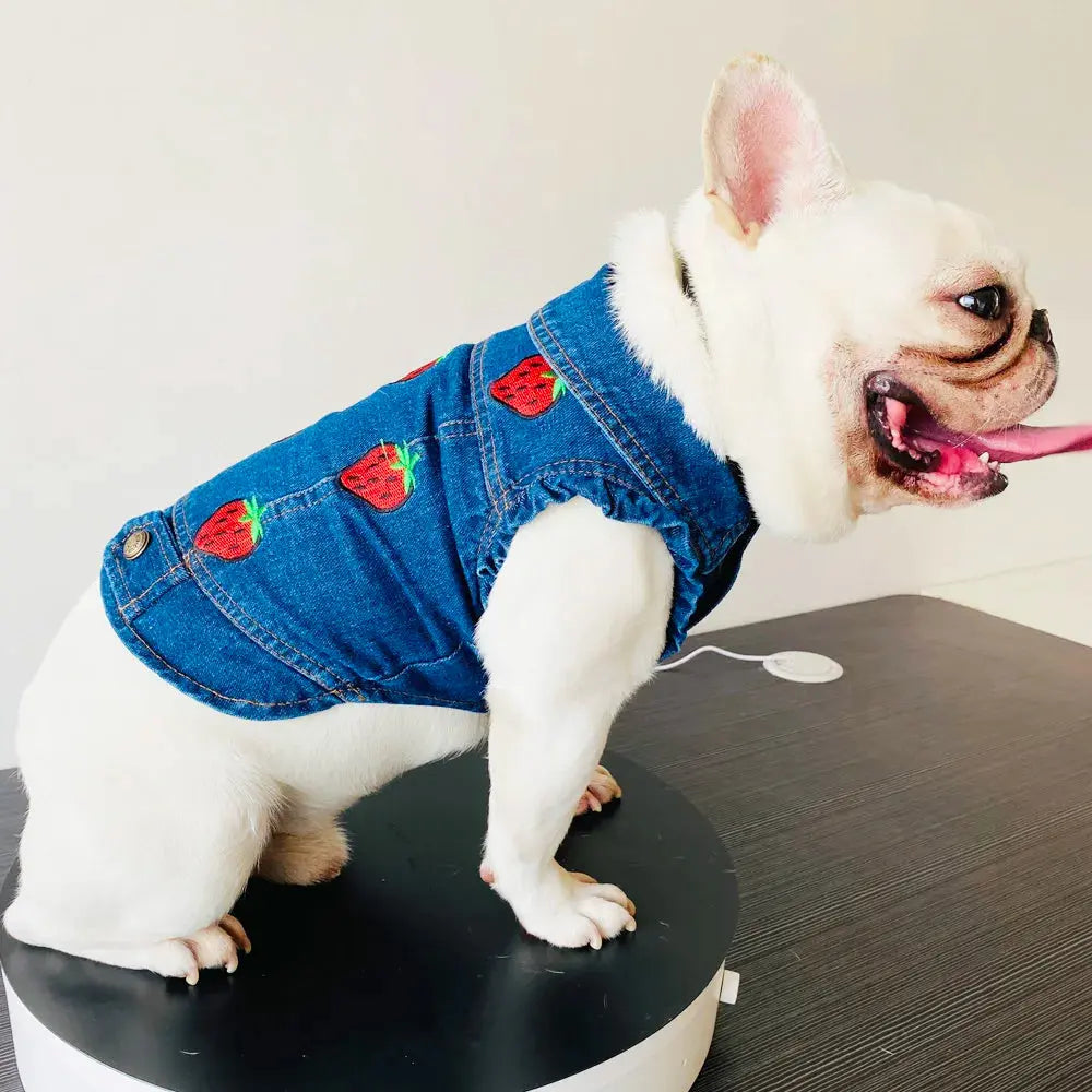 Denim Dog Clothes for Pitbulls Dachshund Fashion Dog Jeans Jacket  Blue Cowboy T-shirt for Shih Tzu Cool Apparel for Small Dogs - Nova Trendz