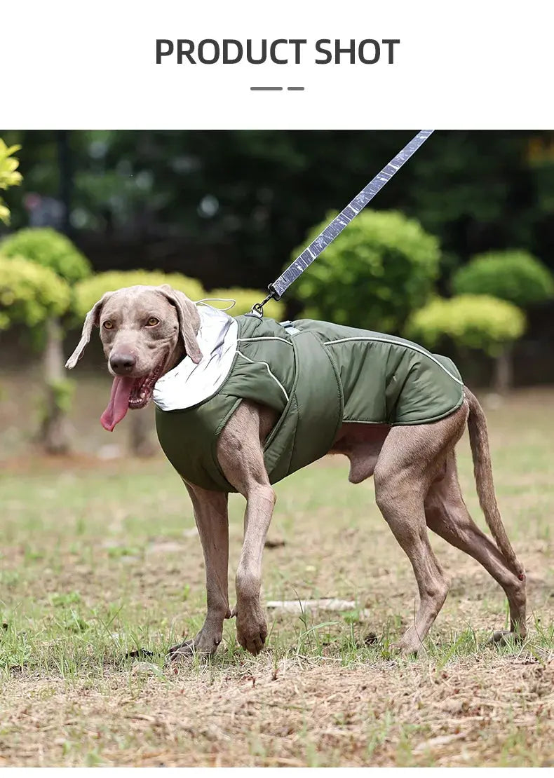 Dog Clothes Luxury Winter Jacket for Small Medium Large Dogs Waterproof Soft Padded Warm Pet Coat Safety Reflective  Dog Outfit - Nova Trendz