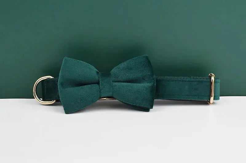 Green Velvet Dog Collar And Leash Set For Dogs Custom Engraved Nameplate Pet Supplies Dog Leash velvet43 - Nova Trendz